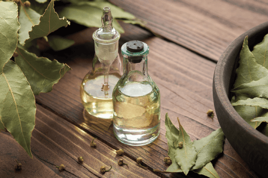 Laurel oil and traditional Aleppo soap made with olive oil and laurel oil